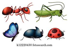 Various insects and bugs Various insects and bugs