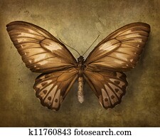 Vintage background with butterfly Vintage background with butterfly