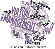 Virtual management