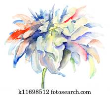 Watercolor illustration with beautiful flowers Watercolor illustration with beautiful flowers