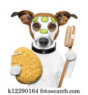 wellness, spa, lavagem, esponja, cão