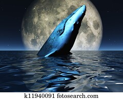 Whale on oceans surface with full moon Whale on oceans surface with full moon