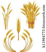 Wheat Wheat