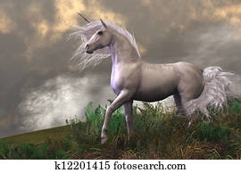 White Unicorn Stallion White Unicorn Stallion
