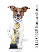 winner dog winner dog