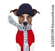 winter dog scarf and hat winter dog scarf and hat