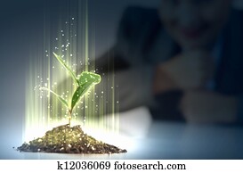 Young plant life process Young plant life process
