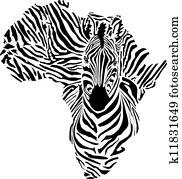 áfrica, em, um, zebra, camuflagem