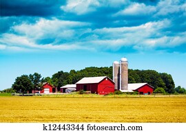 אמריקאי, חוה