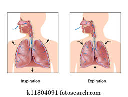 אפן, של, breathing,, eps10
