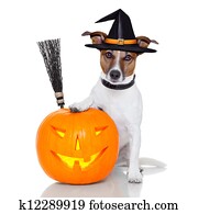 הלוווין, דלעת, מכשפה, כלב