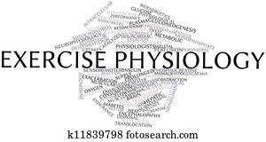 התאמן פיזיולוגיה