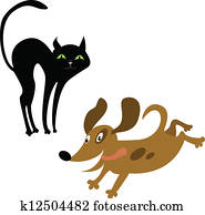 חתול, ו, כלב