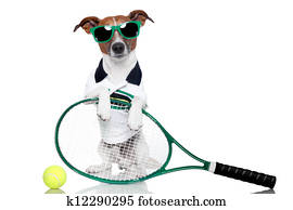 טניס, כלב
