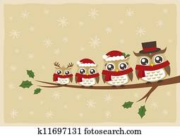 ינשוף, משפחה חג המולד, דש