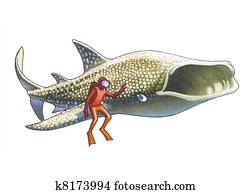 כריש של לויתן