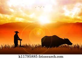 מסורתי, חקלאי