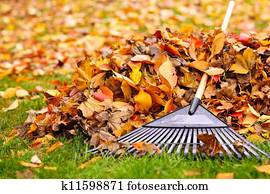 סתו עוזב, עם, גרוף