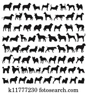 פופולרי, כלב, גזעים