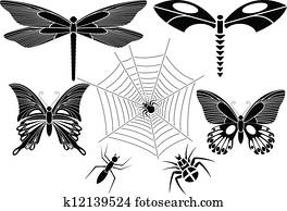 קבע, של, חרקים