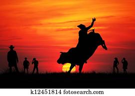 רוכב של שור