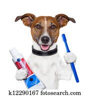 שיניים מנקים, כלב