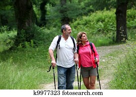 引退した, 年配の人々, ハイキング, 中に, 森林, 小道