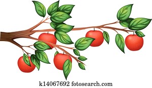 リンゴの木 漫画 イラスト クリップアート K Fotosearch