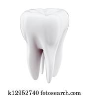 3D Tooth 3D Tooth
