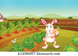 A bunny holding a carrot along the garden A bunny holding a carrot along the garden