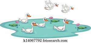 a, gesellschaft, von, enten, an, dass, teich a, gesellschaft, von, enten, an, dass, teich