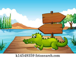 a, krokodil, bei, dass, teich a, krokodil, bei, dass, teich