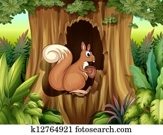 A squirrel in the forest A squirrel in the forest