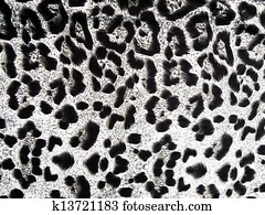 Abstract leopard texture background Abstract leopard texture background