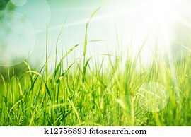 abstract nature background with grass abstract nature background with grass