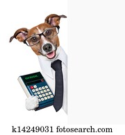 accountant dog accountant dog