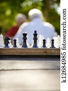 Active retired people, two old friends playing chess at park