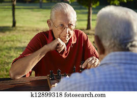 Active retired people, two senior men playing chess at park