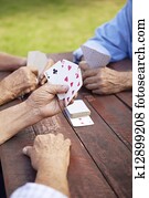 Active seniors, group of old friends playing cards at park