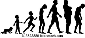Ages of man Ages of man