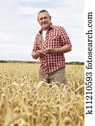 agricultor, inspeccionando, trigo, colheita, em, campo