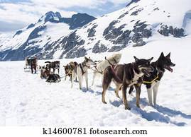 alasca, -, acosse sledding