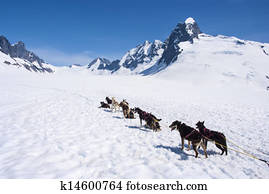 Alaska - Dog Sledding