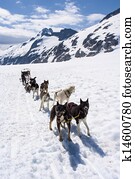 Alaska - Dog Sledding