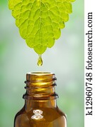 alternativa, medicina herbácea