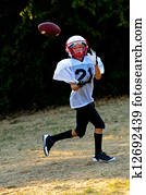 American Youth Football American Youth Football