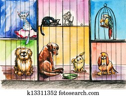 Animals Animals