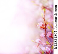 art Beautiful spring blossoming tree on sky background