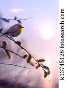 art beautiful spring morning nature background art beautiful spring morning nature background