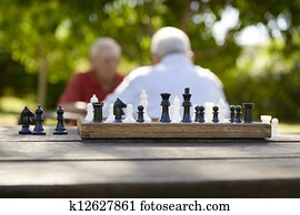 ativo, pessoas aposentadas, dois, amigos velhos, xadrez jogando, em, parque